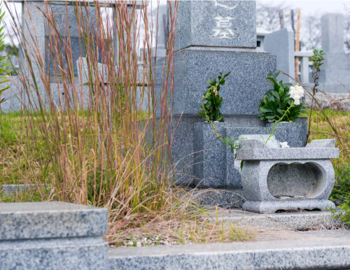 雑草が繁茂する墓地